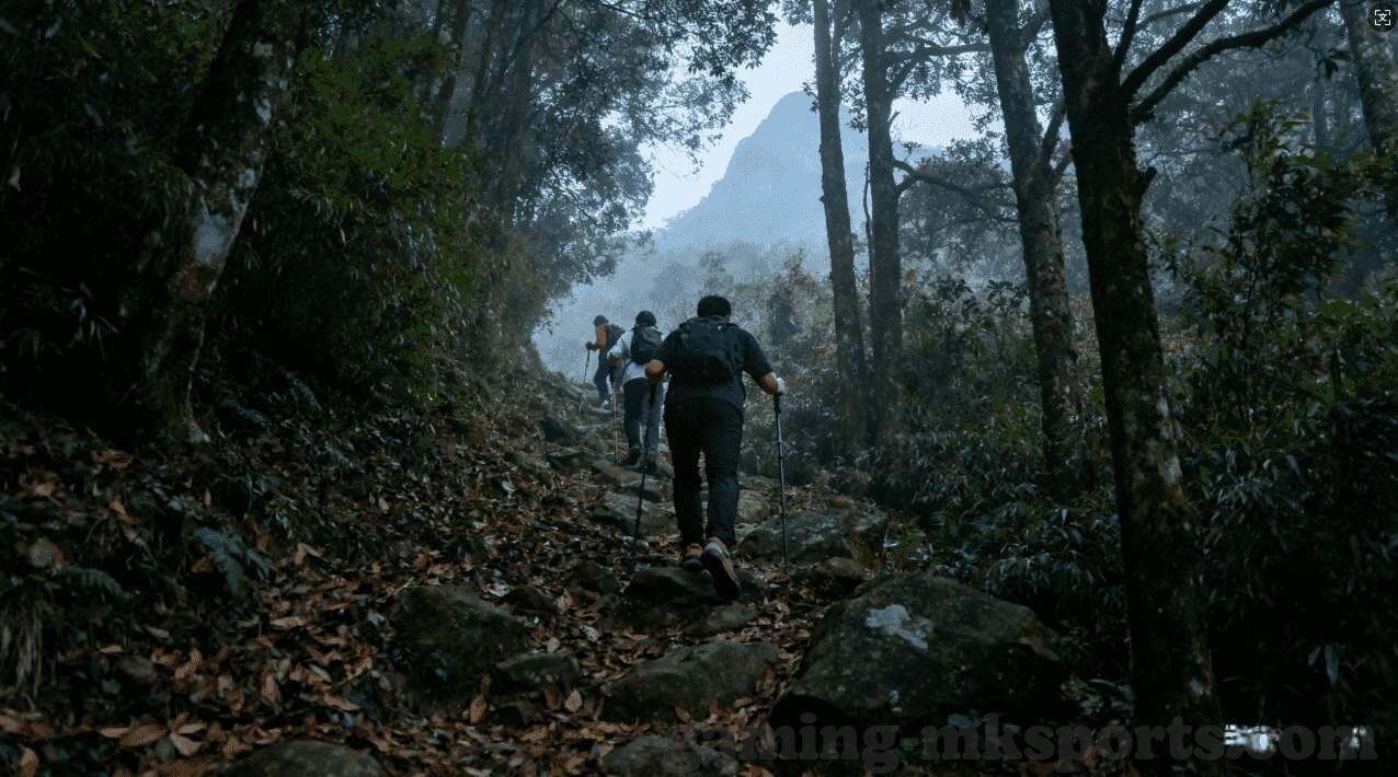 世界杯直播网优酷-世界杯直播网优酷,畅享足球盛宴的绝佳平台